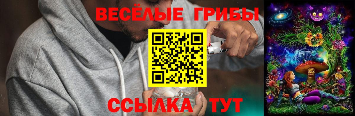 КОКАИН Сланцы