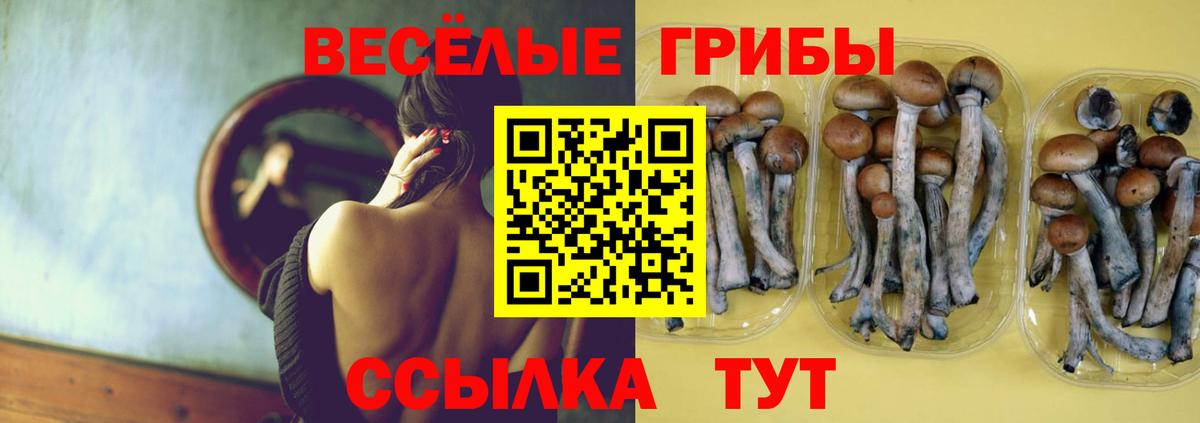 Галлюциногенные грибы прущие грибы Сланцы